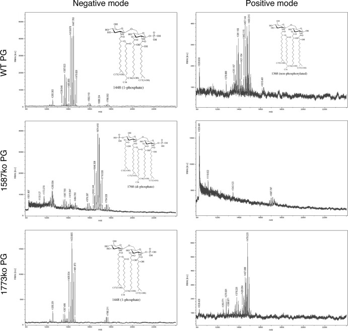 FIG 1