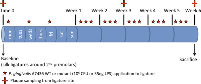 FIG 3