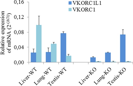 FIGURE 5.