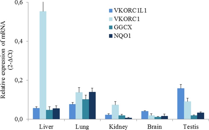 FIGURE 2.