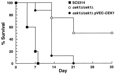 FIG. 6