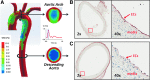 <b>FIG. 1.</b>