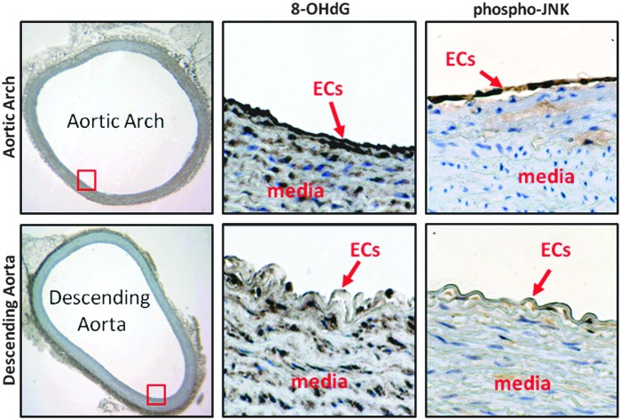 FIG. 8.