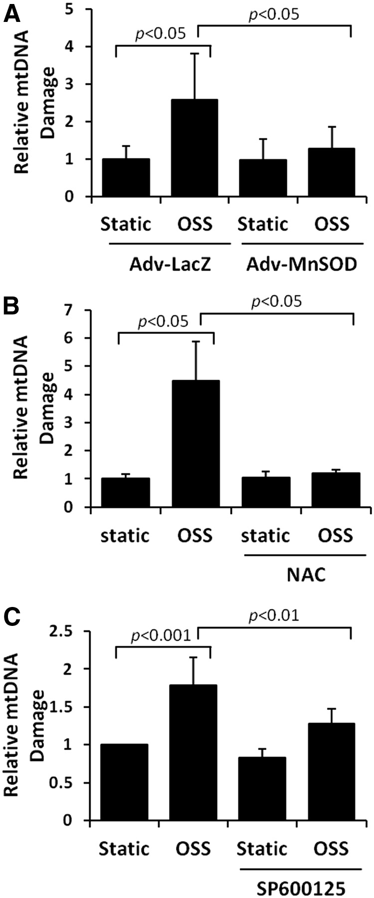 FIG. 7.