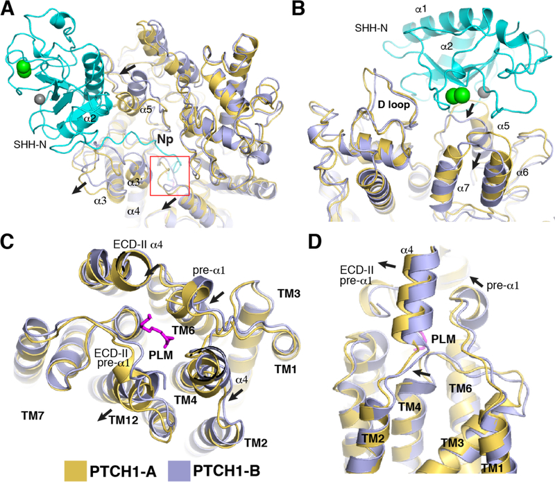 Fig. 3