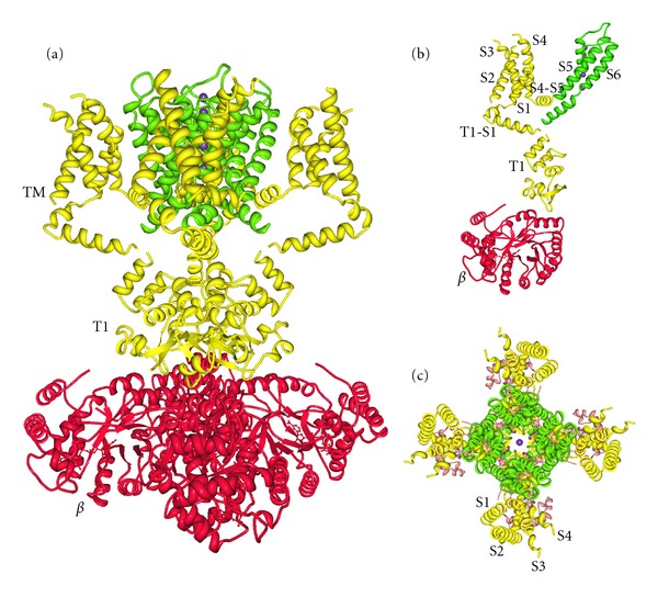 Figure 1