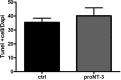 Figure 5—figure supplement 1.