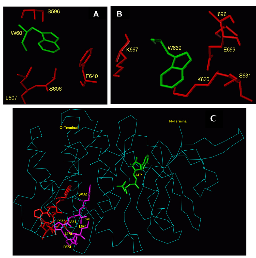 Figure 7