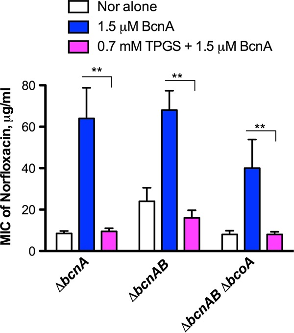 FIG 4