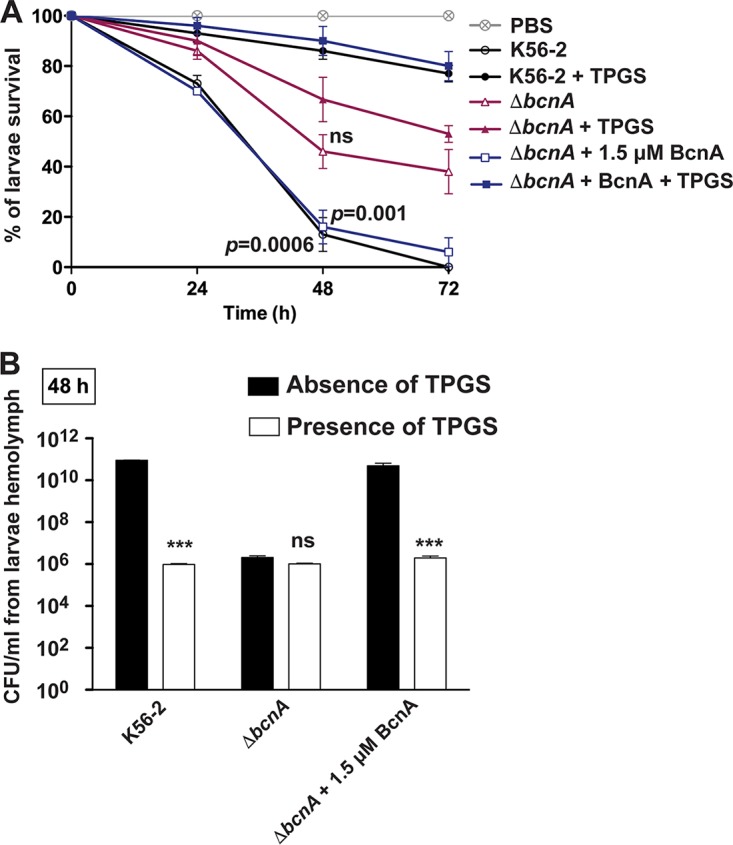 FIG 6