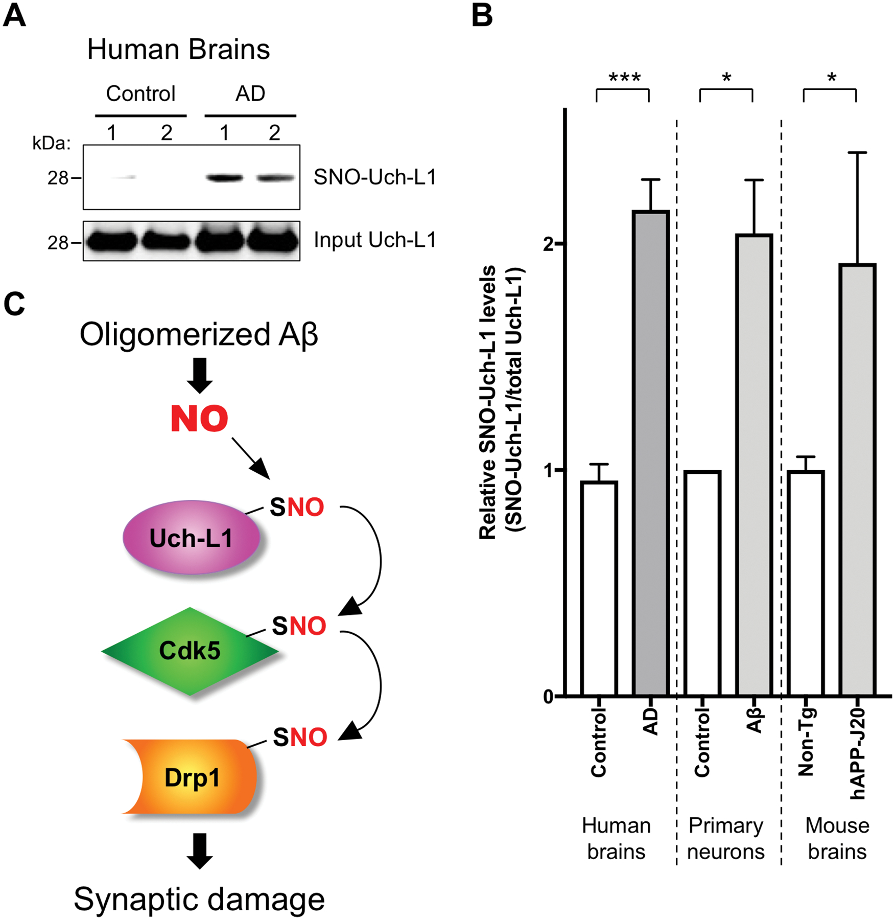 Fig. 7.