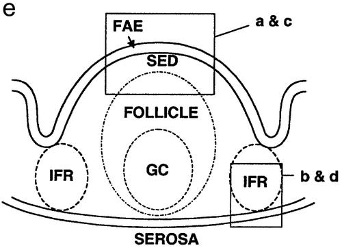 FIG. 3.