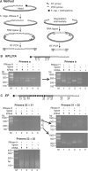 Figure 7.