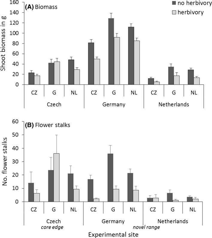 Fig. 2