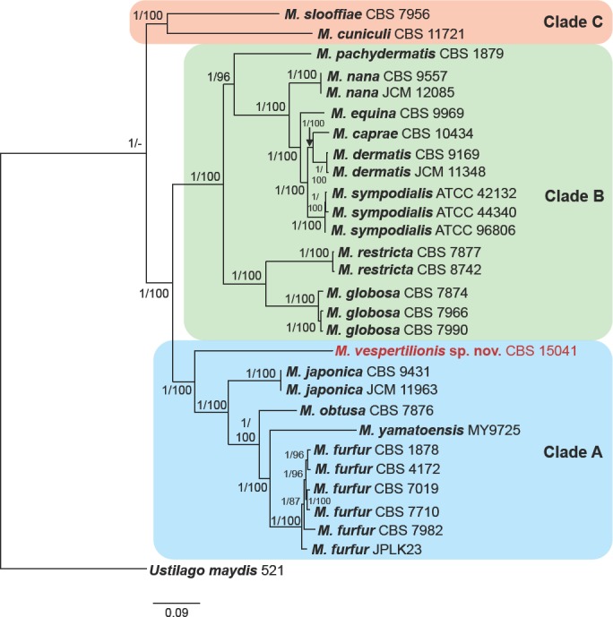 Fig. 3.