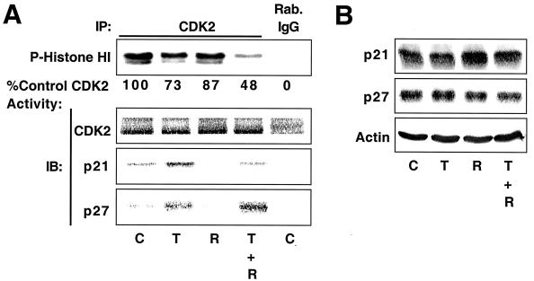 FIG. 8.