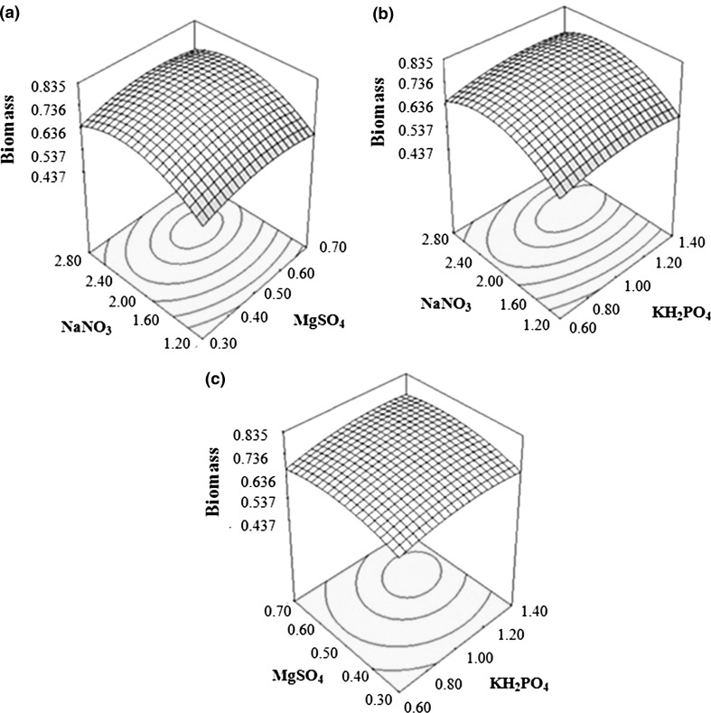 Fig. 6