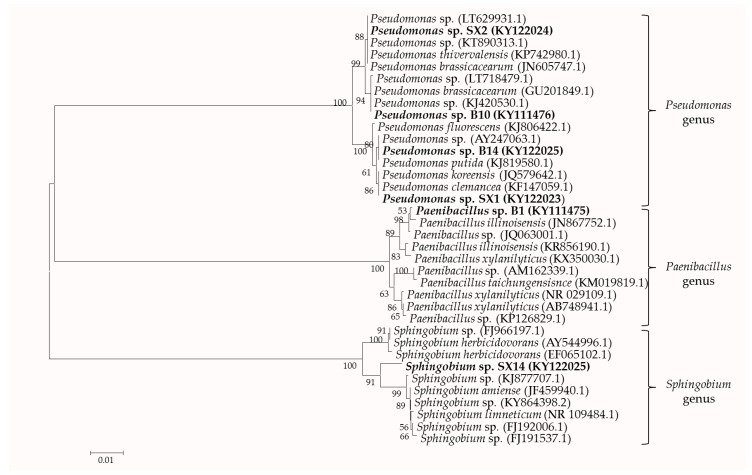 Figure 2