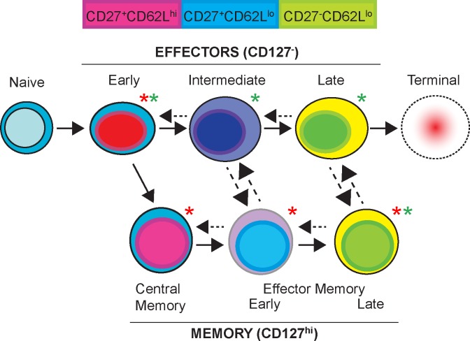 Fig 8