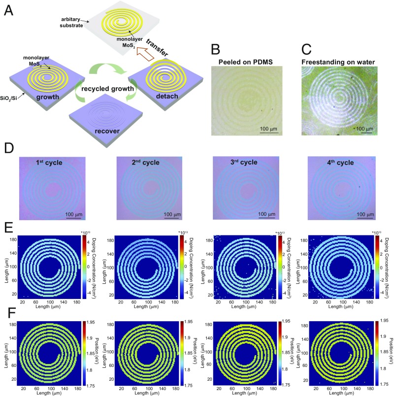 Fig. 4.