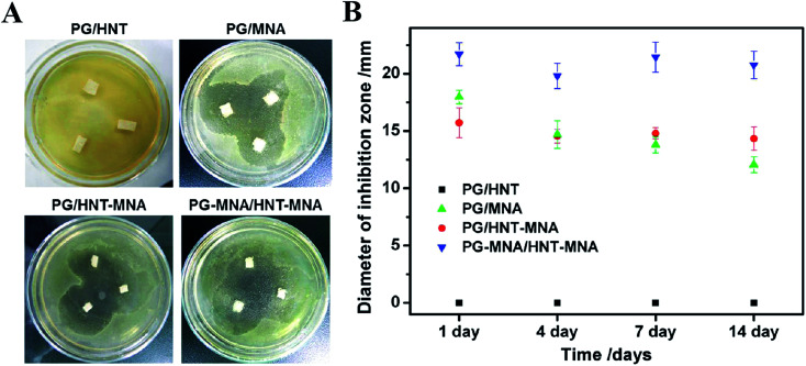 Fig. 7