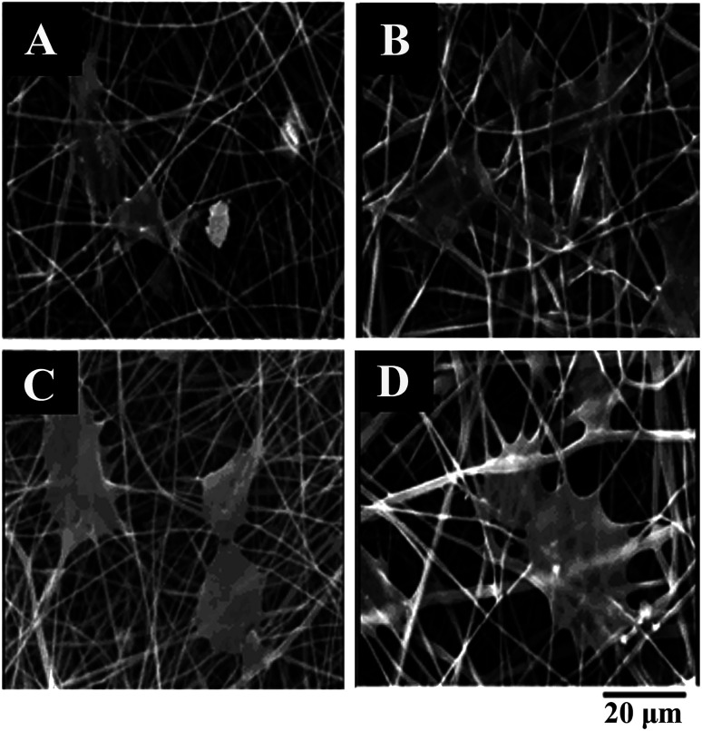 Fig. 10