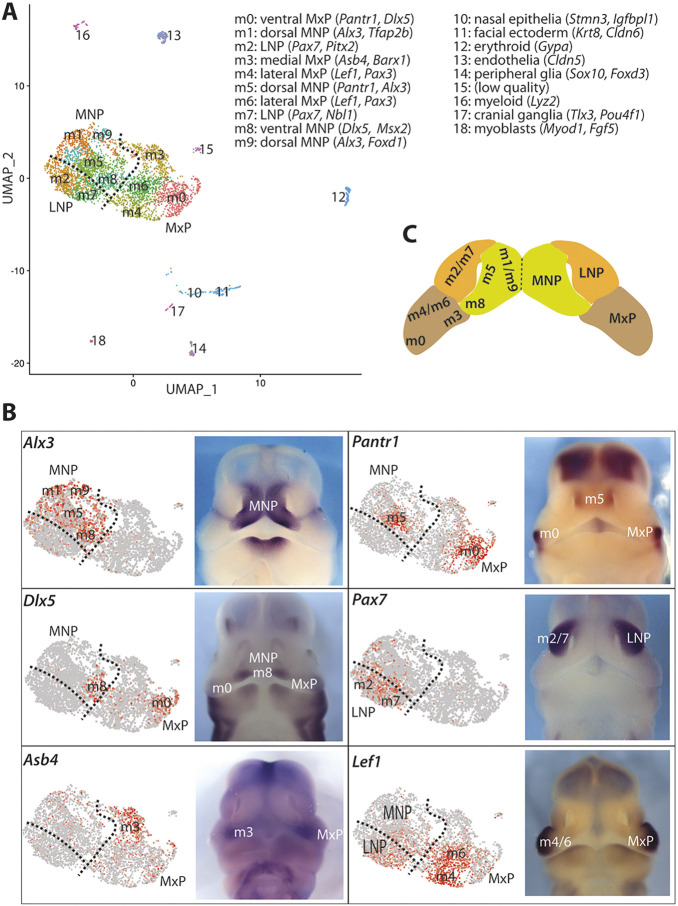 Fig. 3.