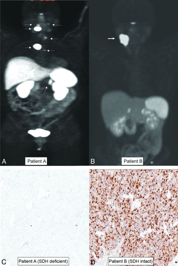 FIG 6.