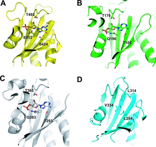 FIG. 8.