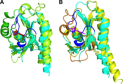 FIG. 6.