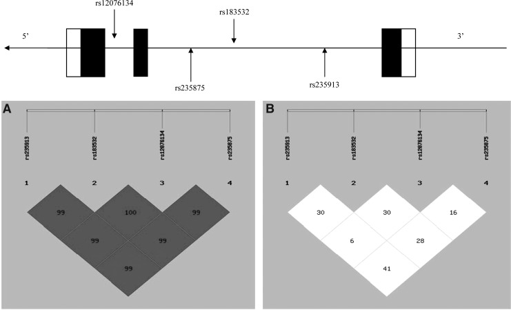 FIG. 1.