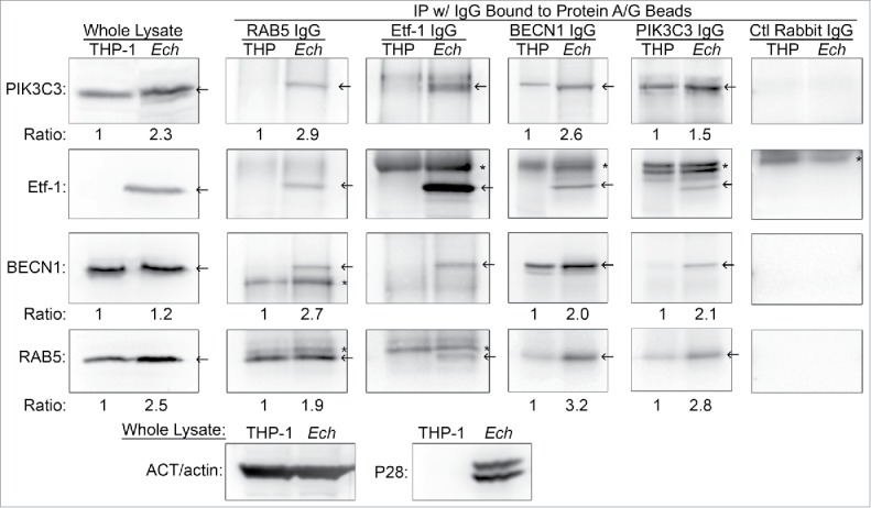 Figure 10.