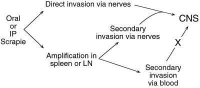 FIG. 5