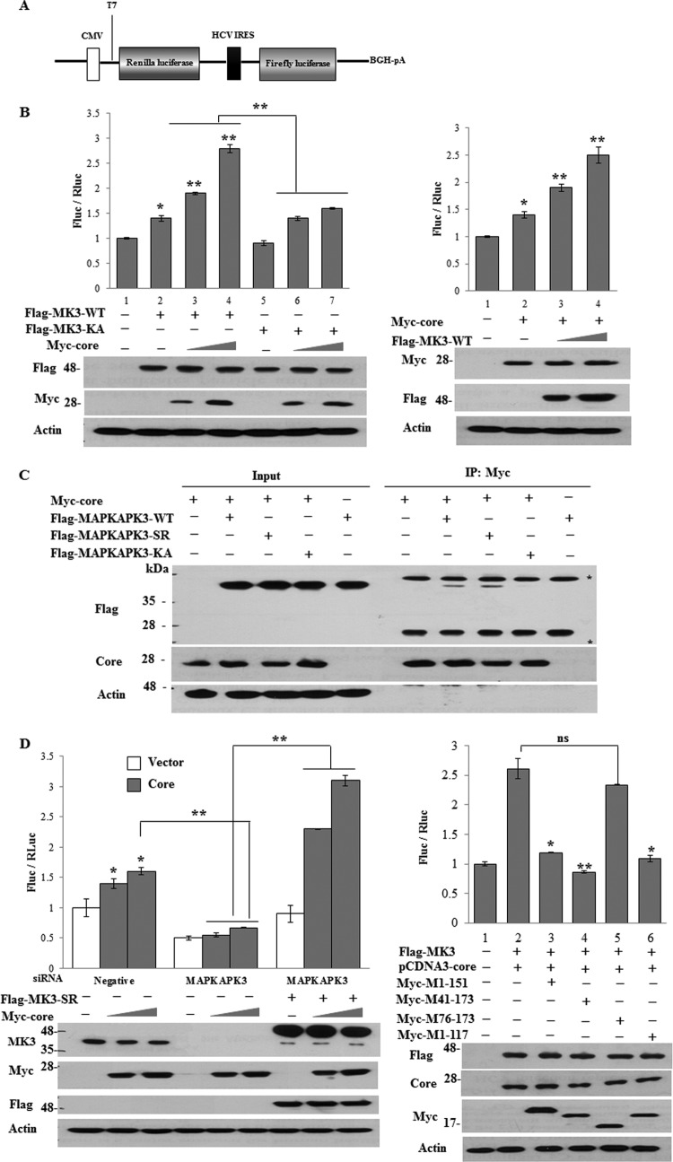 Fig 8