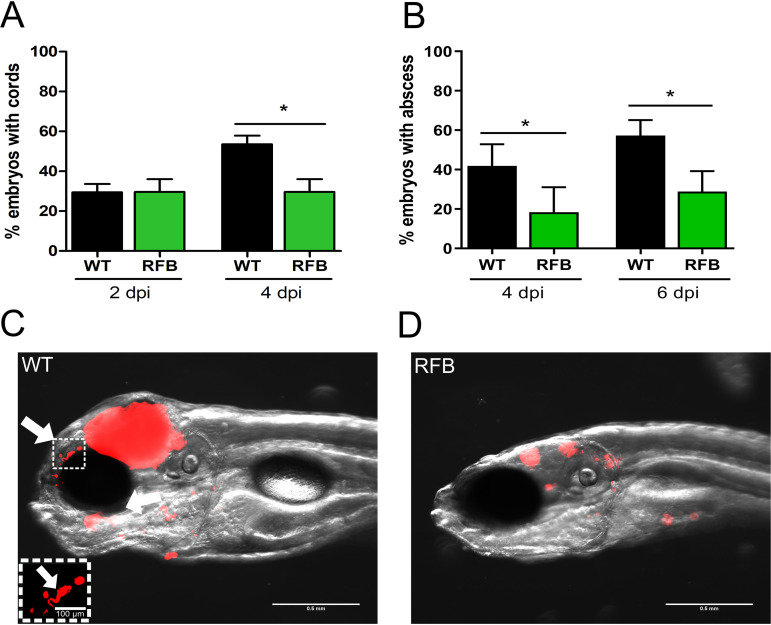 FIG 6