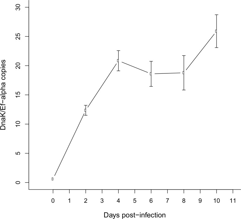 Fig 3