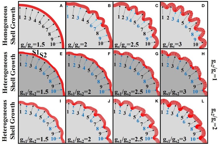 Figure 6