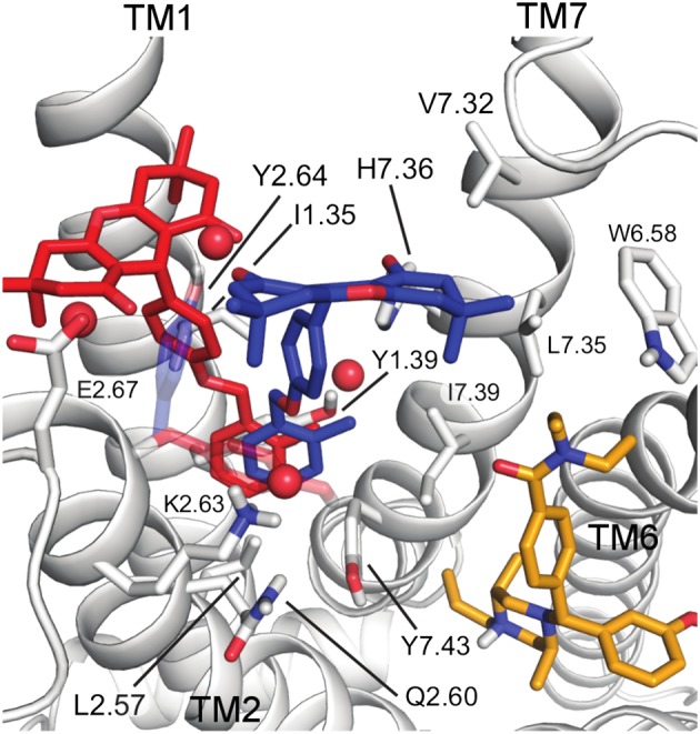 Figure 4