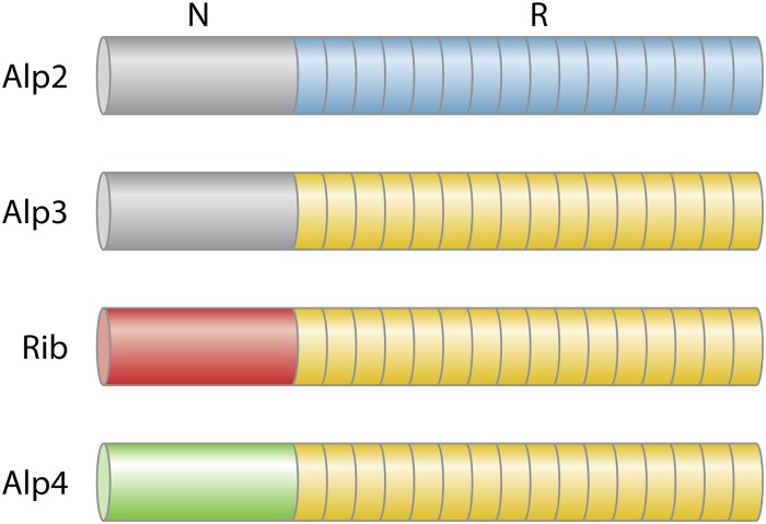 FIG 3