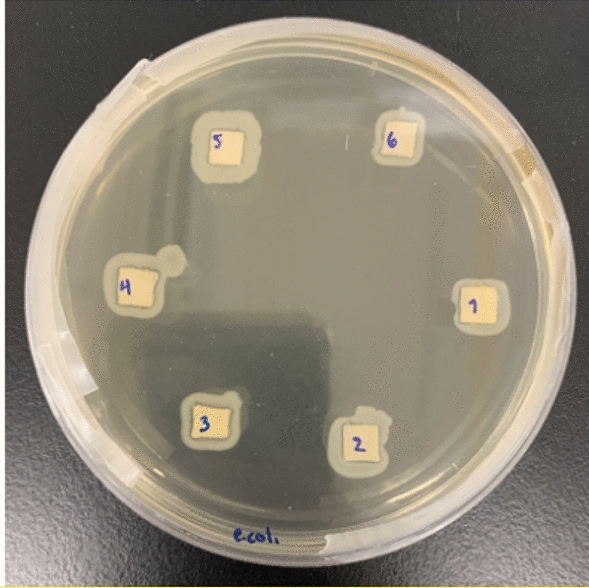 Fig. 10