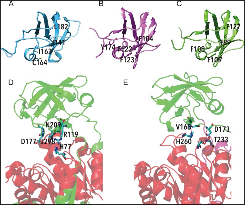 Fig 6