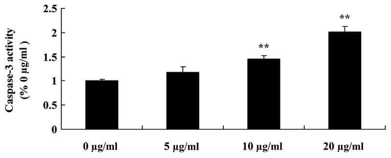 Tanshinone Iia Inhibits Proliferation And Induces Apoptosis Of Human 