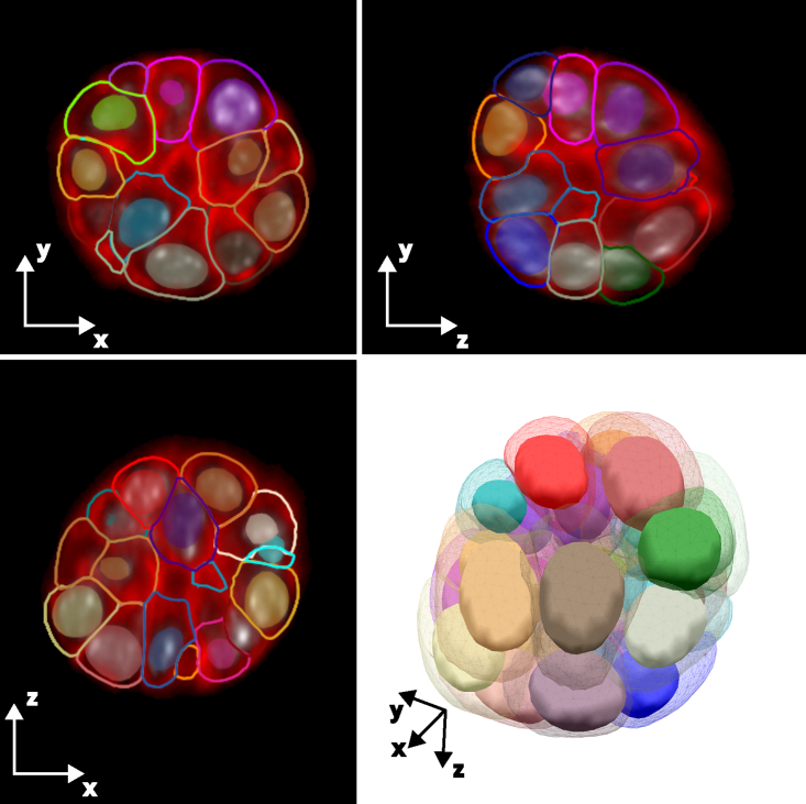Figure 6