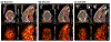 Figure 5: