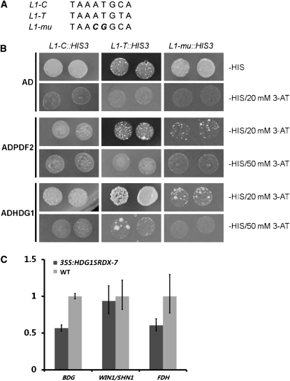 Figure 11.