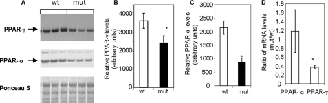 FIGURE 9.