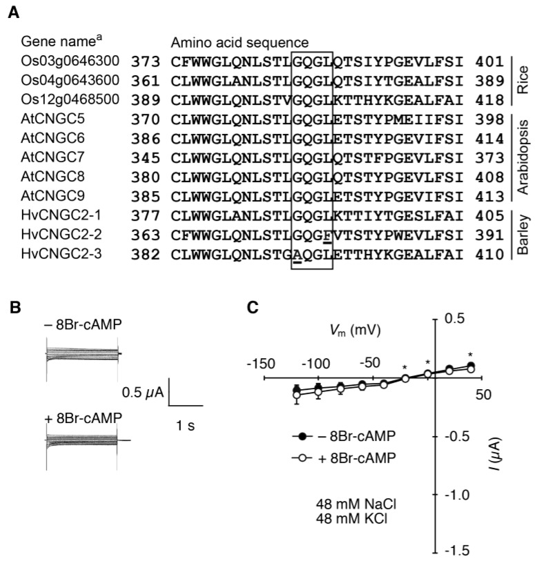 Figure 7