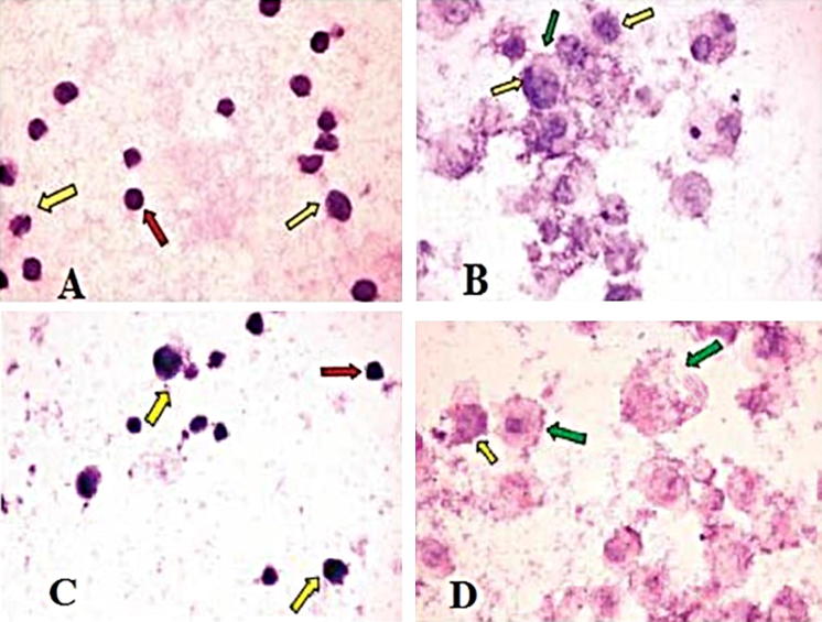 Fig. 2