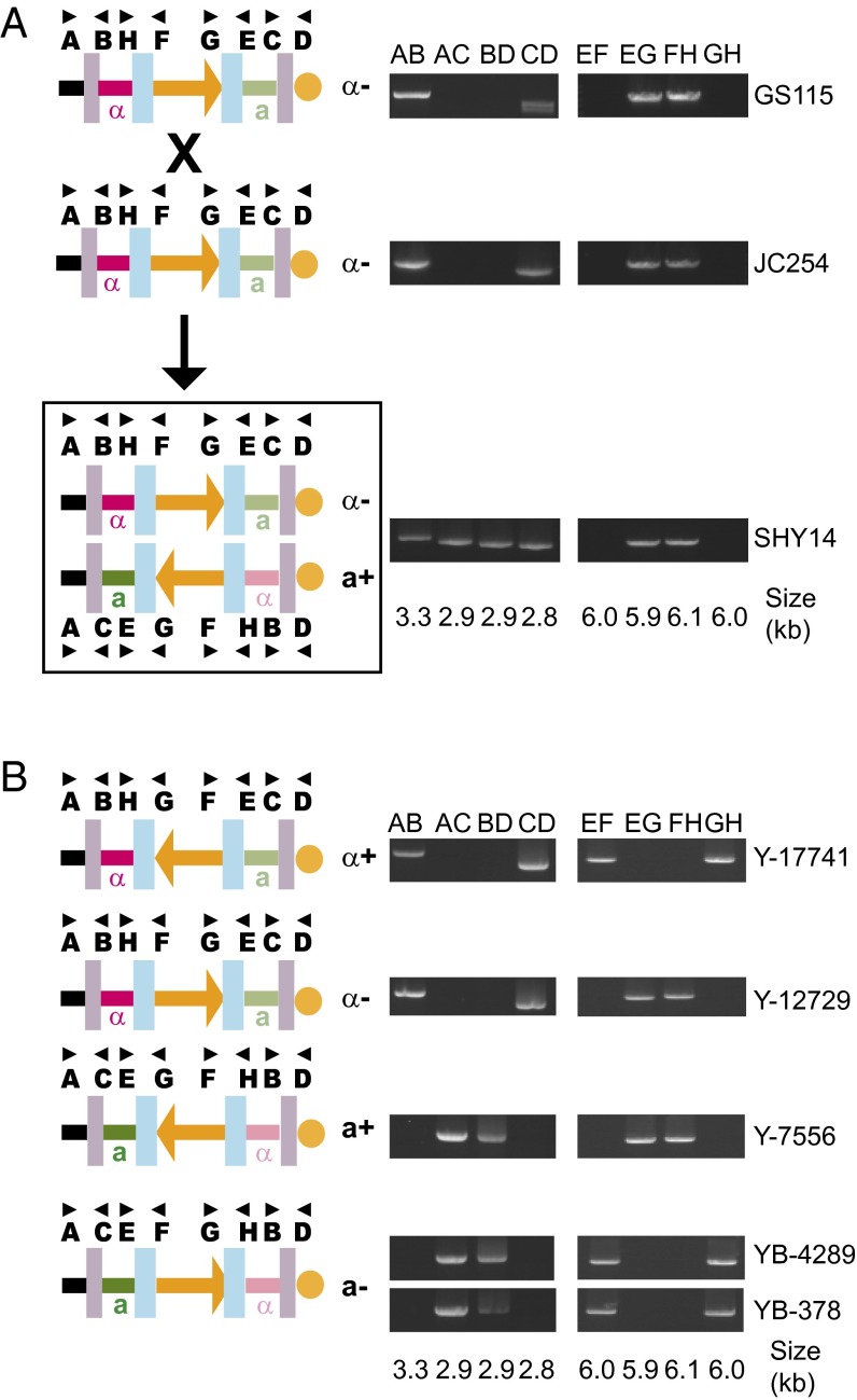 Fig. 5.