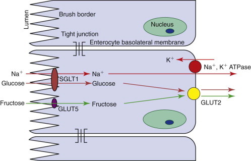 Figure 57-7